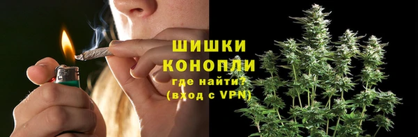 стаф Белоозёрский