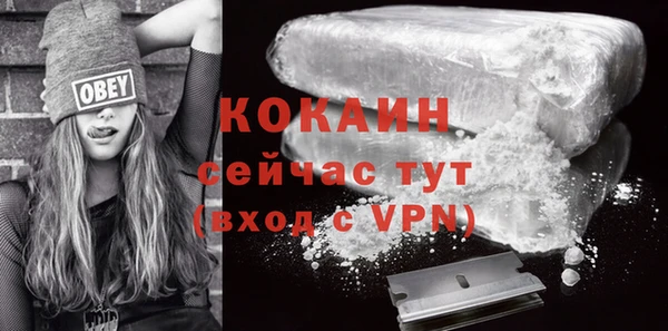 мет Протвино